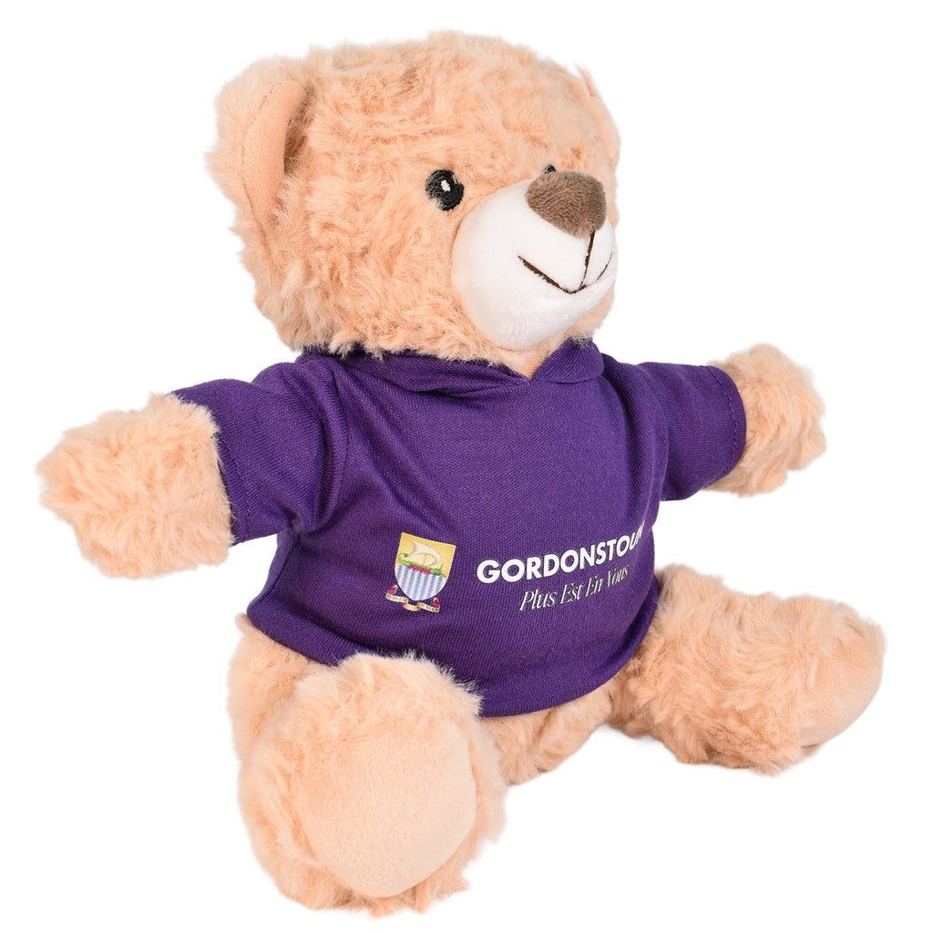 The Gordonstoun Bear