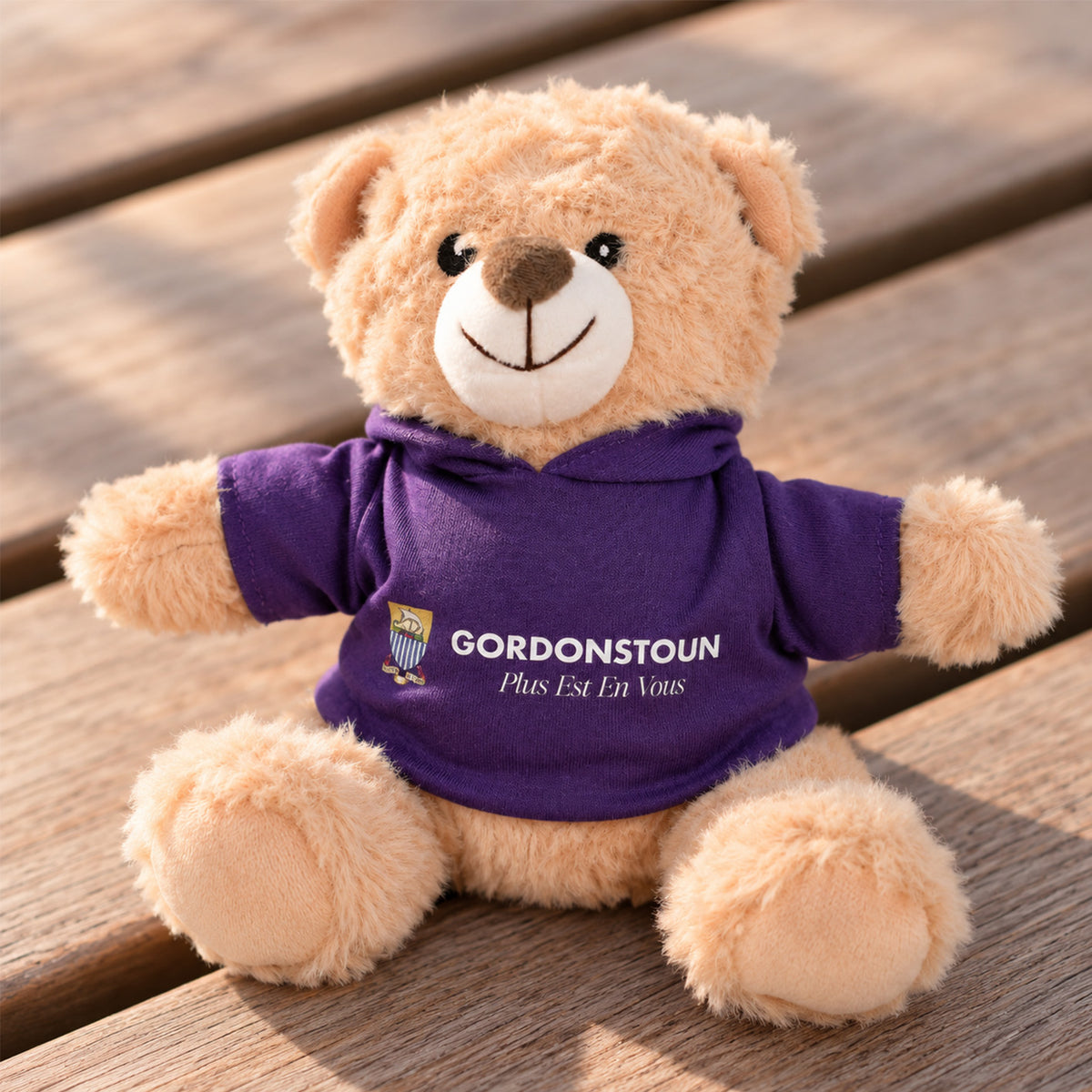 A plush teddy bear sitting on a wooden surface, wearing a purple hooded sweatshirt with the Gordonstoun logo printed on the front.